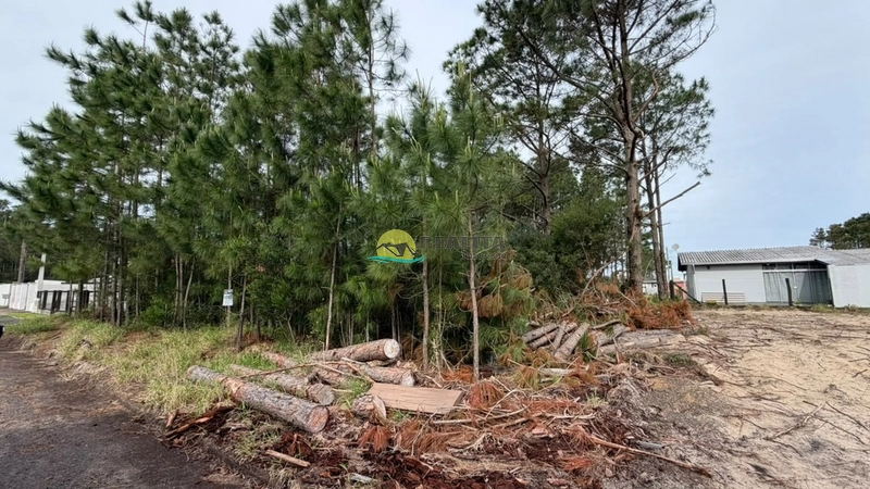: 1ª foto da galeria de imagens do imóvel