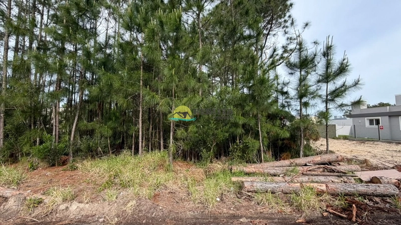 : 2ª foto da galeria de imagens do imóvel