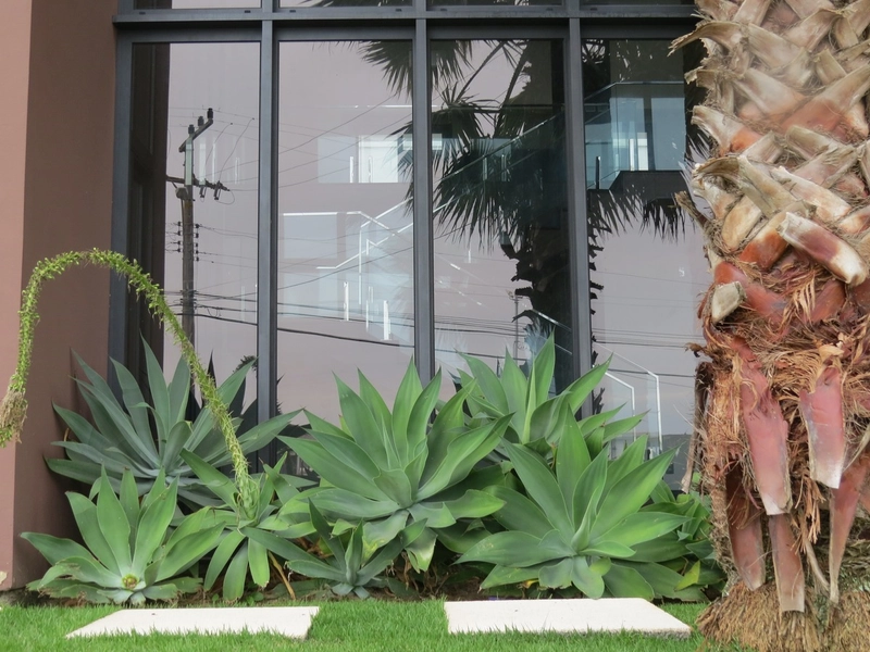 Casa 3 suítes em condomínio fechado no Cacupé: 3ª foto da galeria de imagens do imóvel