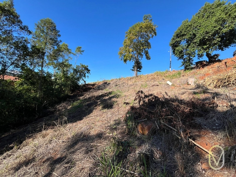 Lote à venda em Armazém-SC: 9ª foto da galeria de imagens do imóvel