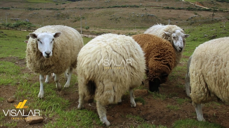 Lote a Venda em Bom Jardim da Serra/SC: 2ª foto da galeria de imagens do imóvel