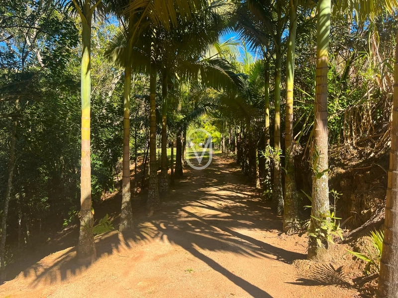 Sitio á Venda em Bom Jesus em Armazém-SC: 3ª foto da galeria de imagens do imóvel