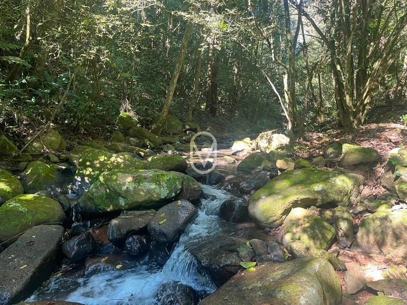 Sitio á Venda em Bom Jesus em Armazém-SC: 23ª foto da galeria de imagens do imóvel