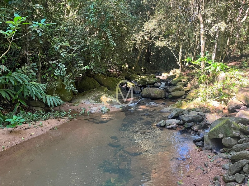 Sitio á Venda em Bom Jesus em Armazém-SC: 25ª foto da galeria de imagens do imóvel