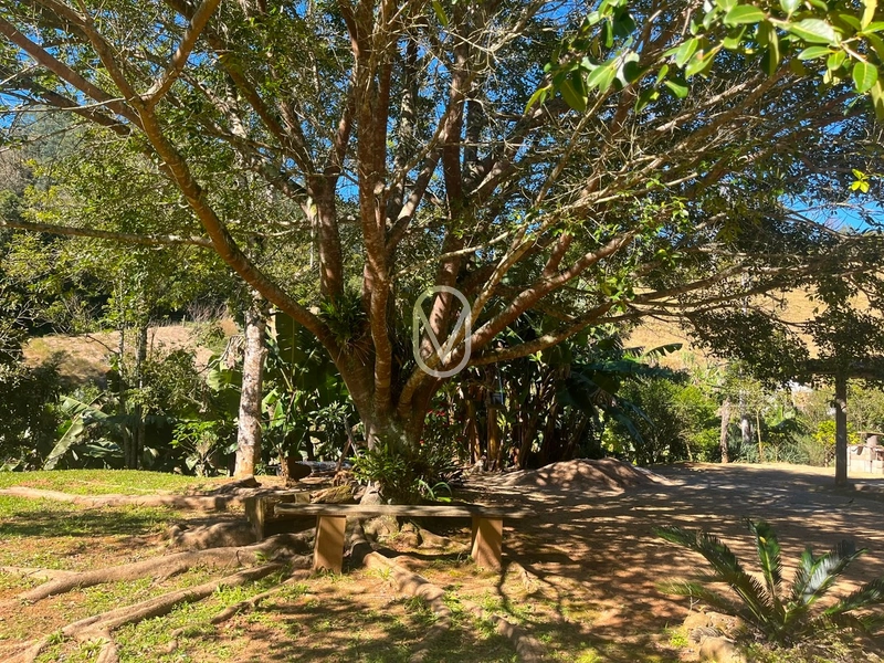 Sitio á Venda em Bom Jesus em Armazém-SC: 7ª foto da galeria de imagens do imóvel