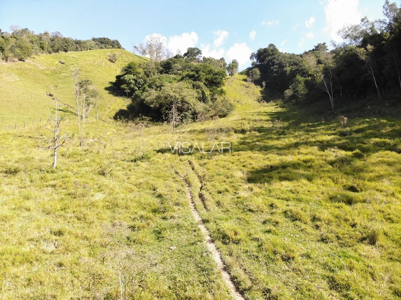 TERRENO DE 6 HECTARES - BARRO VERMELHO - GRAVATAL: 2ª foto da galeria de imagens do imóvel
