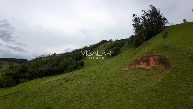 TERRENO DE 6 HECTARES - BARRO VERMELHO - GRAVATAL: 12ª foto da galeria de imagens do imóvel