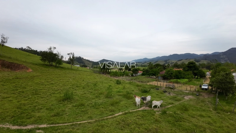 TERRENO DE 6 HECTARES - BARRO VERMELHO - GRAVATAL: 14ª foto da galeria de imagens do imóvel