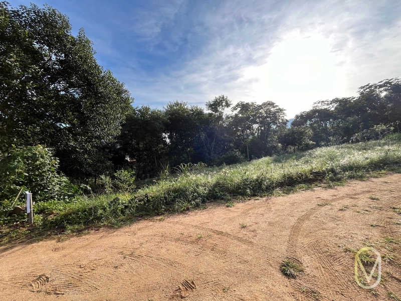 Lote á Venda em Armazém-SC: 1ª foto da galeria de imagens do imóvel