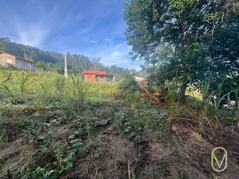 Lote á Venda em Armazém-SC: 4ª foto da galeria de imagens do imóvel