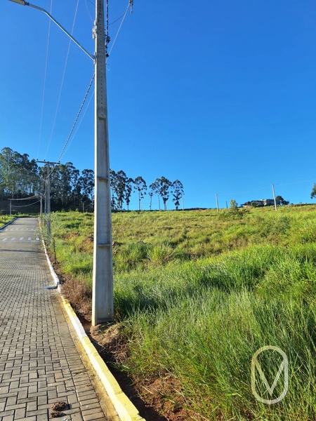 Lote á Venda em Armazém-SC: 6ª foto da galeria de imagens do imóvel