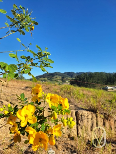 Lote á Venda em Armazém-SC: 5ª foto da galeria de imagens do imóvel