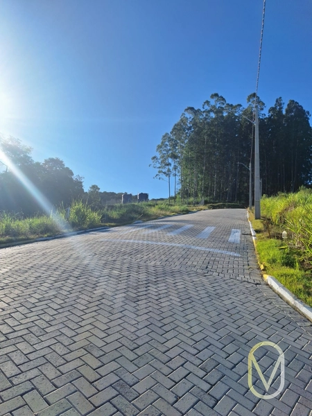 Lote á Venda em Armazém-SC: 16ª foto da galeria de imagens do imóvel