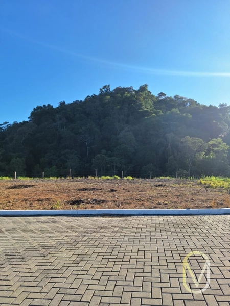 Lote á Venda em Armazém-SC: 8ª foto da galeria de imagens do imóvel