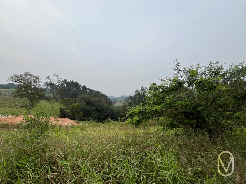 Lote á Venda em Braço do Norte-SC: 10ª foto da galeria de imagens do imóvel