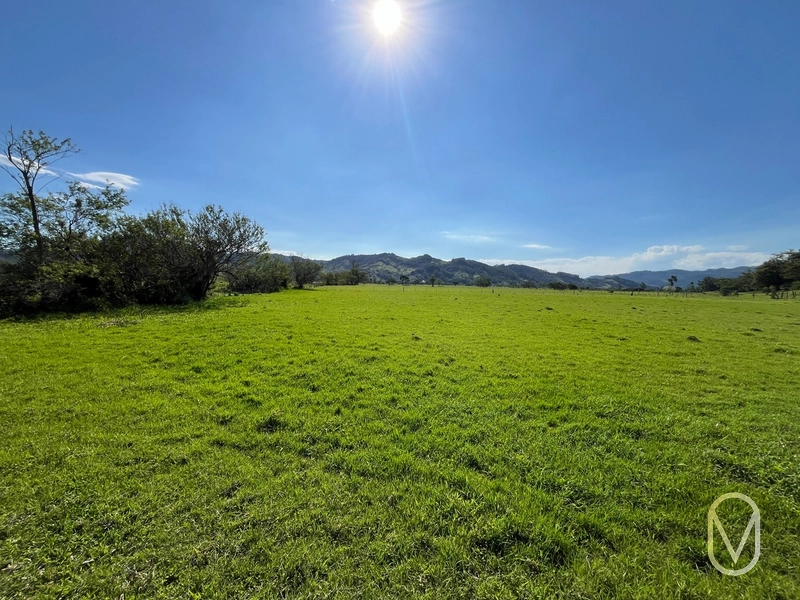 Terreno de 16,2 hectares á Venda em Gravatal-SC: 11ª foto da galeria de imagens do imóvel