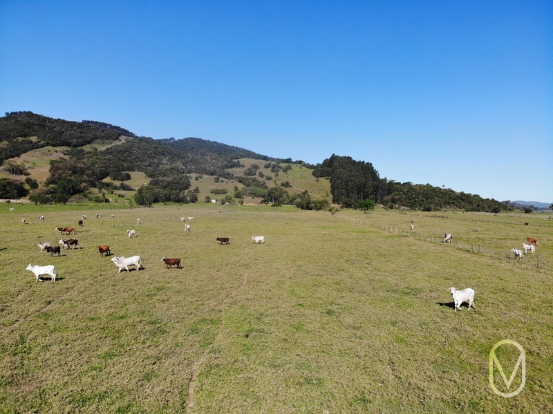 Terreno de 16,2 hectares á Venda em Gravatal-SC: 15ª foto da galeria de imagens do imóvel