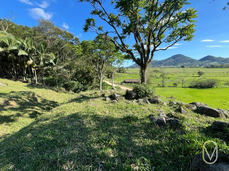 Terreno de 16,2 hectares á Venda em Gravatal-SC: 25ª foto da galeria de imagens do imóvel