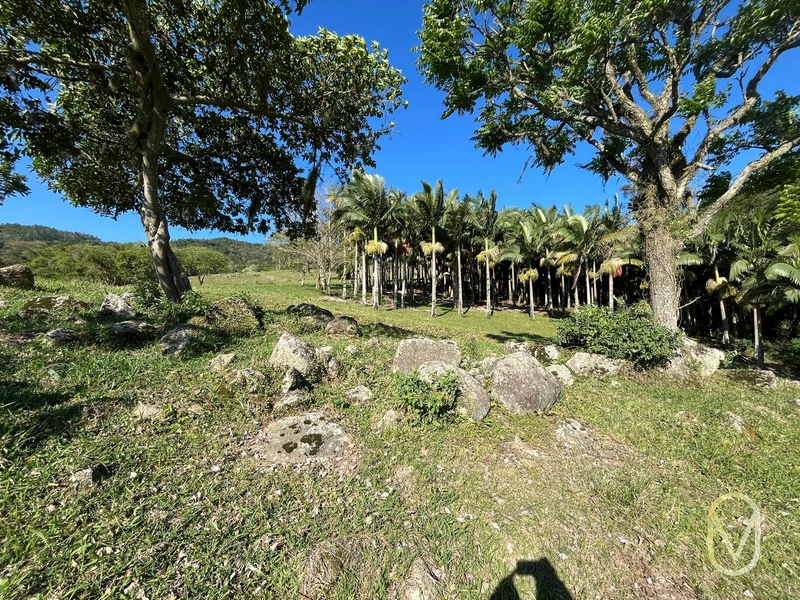 Terreno de 16,2 hectares á Venda em Gravatal-SC: 22ª foto da galeria de imagens do imóvel