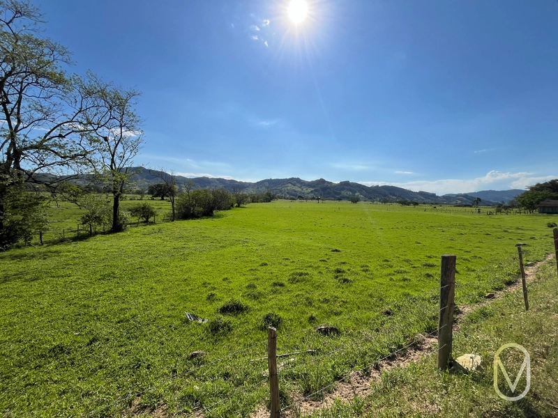 Terreno de 16,2 hectares á Venda em Gravatal-SC: 12ª foto da galeria de imagens do imóvel