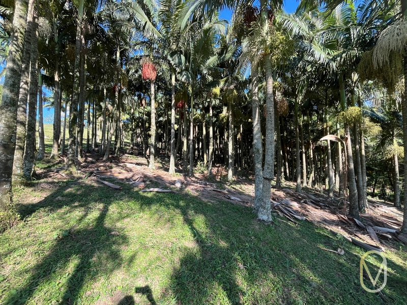 Terreno de 16,2 hectares á Venda em Gravatal-SC: 30ª foto da galeria de imagens do imóvel