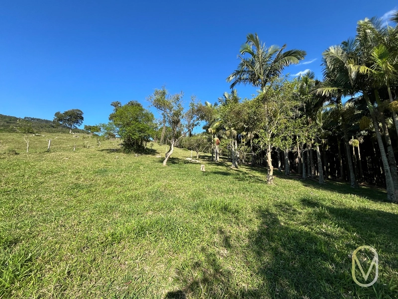 Terreno de 16,2 hectares á Venda em Gravatal-SC: 29ª foto da galeria de imagens do imóvel