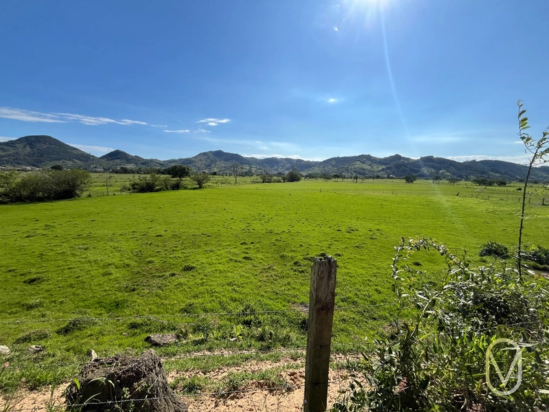 Terreno de 16,2 hectares á Venda em Gravatal-SC: 9ª foto da galeria de imagens do imóvel