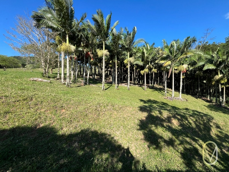Terreno de 16,2 hectares á Venda em Gravatal-SC: 24ª foto da galeria de imagens do imóvel