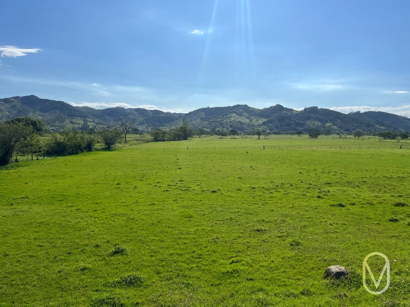 Terreno de 16,2 hectares á Venda em Gravatal-SC: 13ª foto da galeria de imagens do imóvel