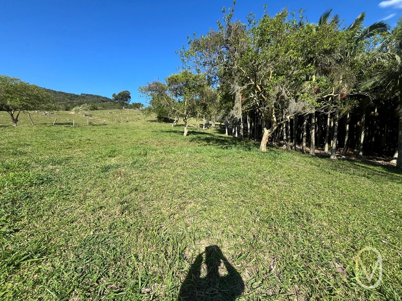 Terreno de 16,2 hectares á Venda em Gravatal-SC: 27ª foto da galeria de imagens do imóvel