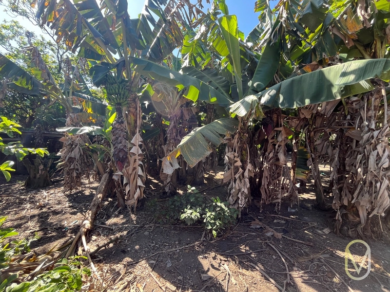 Casa/Chácara á Venda em Gravatal-SC: 17ª foto da galeria de imagens do imóvel