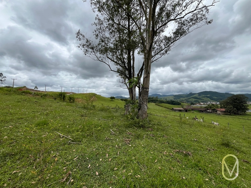 Terreno de 3,0 hectares á vendo em Armazém-SC: 12ª foto da galeria de imagens do imóvel