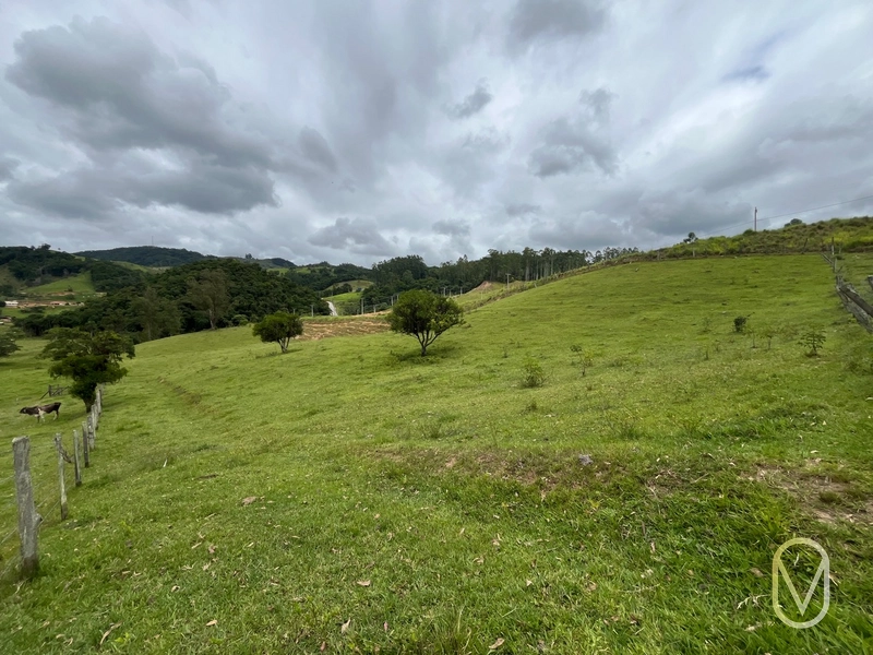 Terreno de 3,0 hectares á vendo em Armazém-SC: 8ª foto da galeria de imagens do imóvel