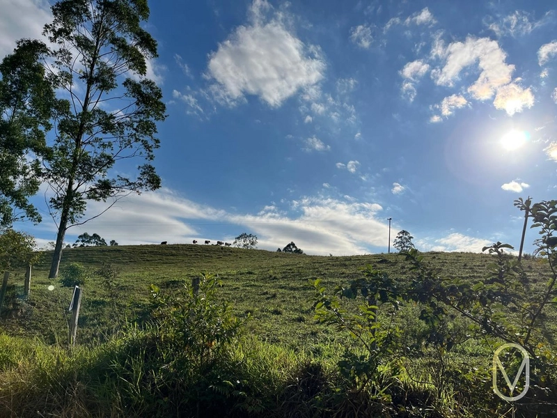 Terreno de 19,5 hectares á Venda no bairro Alemanha em Armazém-SC: 11ª foto da galeria de imagens do imóvel