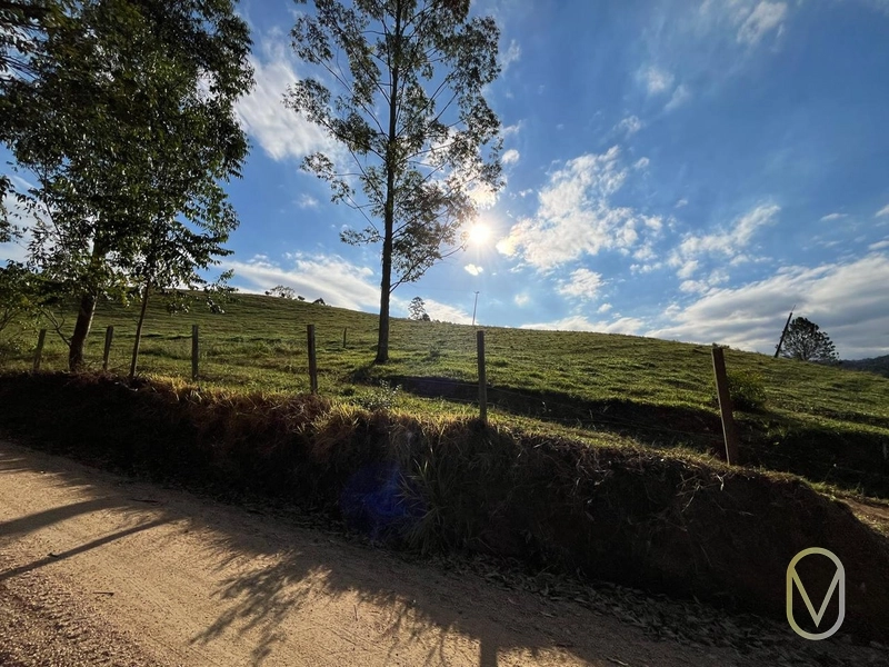 Terreno de 19,5 hectares á Venda no bairro Alemanha em Armazém-SC: 7ª foto da galeria de imagens do imóvel