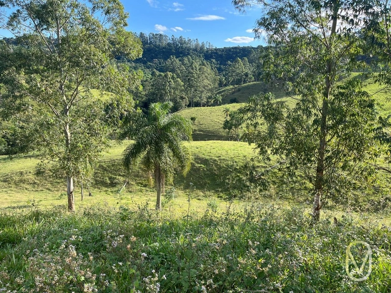 Terreno de 19,5 hectares á Venda no bairro Alemanha em Armazém-SC: 18ª foto da galeria de imagens do imóvel
