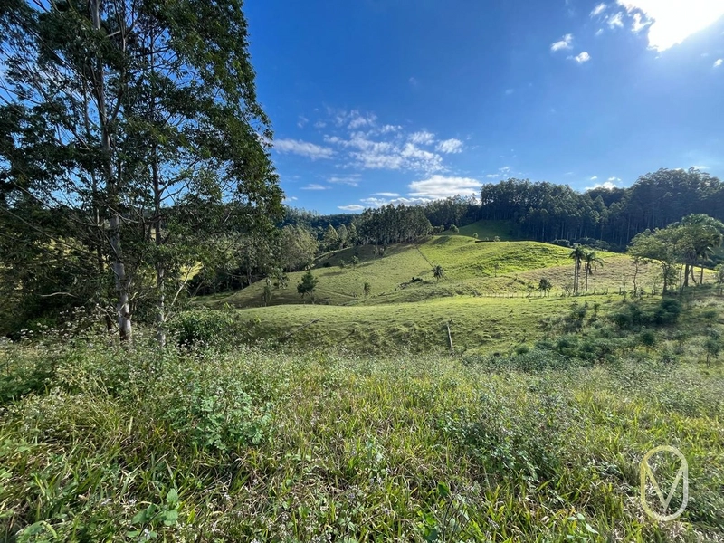Terreno de 19,5 hectares á Venda no bairro Alemanha em Armazém-SC: 14ª foto da galeria de imagens do imóvel