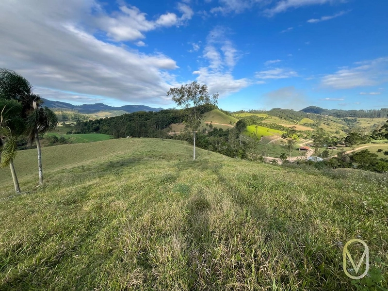 Terreno de 19,5 hectares á Venda no bairro Alemanha em Armazém-SC: 16ª foto da galeria de imagens do imóvel