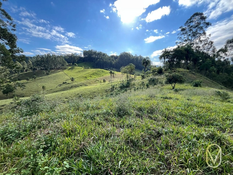 Terreno de 19,5 hectares á Venda no bairro Alemanha em Armazém-SC: 15ª foto da galeria de imagens do imóvel