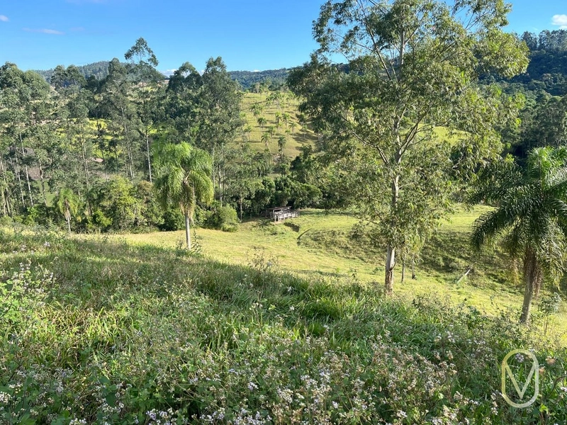 Terreno de 19,5 hectares á Venda no bairro Alemanha em Armazém-SC: 17ª foto da galeria de imagens do imóvel