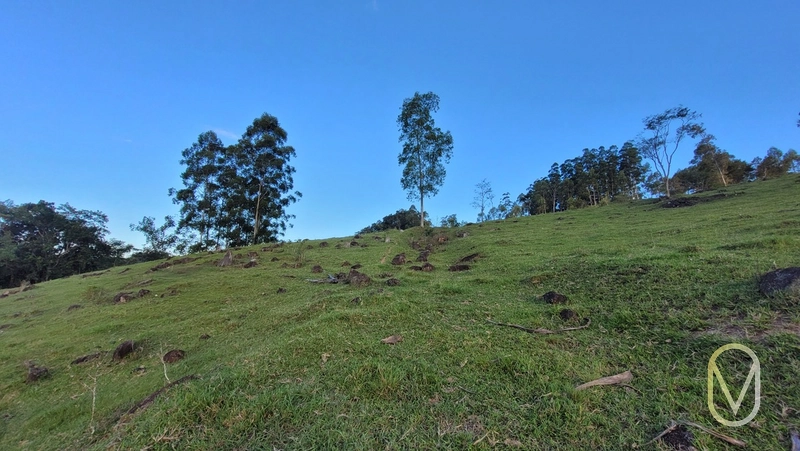 Terreno de 3.4 hectares á Venda em Armazém-SC: 10ª foto da galeria de imagens do imóvel