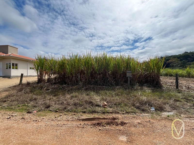 Lote á Venda em Armazém-SC: 6ª foto da galeria de imagens do imóvel