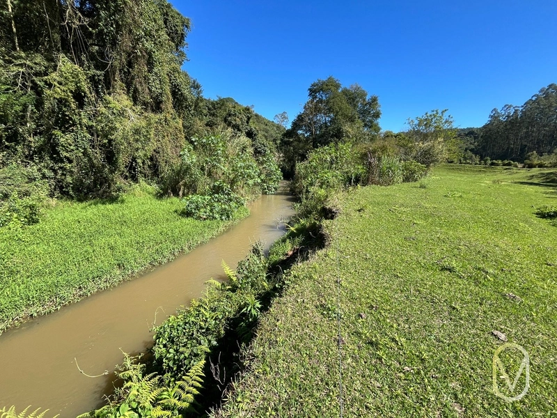 Terreno de 41 hectares á Venda em São Martinho-SC: 23ª foto da galeria de imagens do imóvel