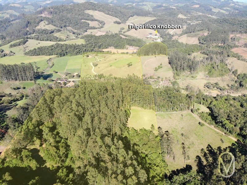Terreno de 41 hectares á Venda em São Martinho-SC: 2ª foto da galeria de imagens do imóvel