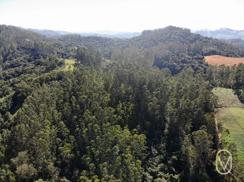 Terreno de 41 hectares á Venda em São Martinho-SC: 44ª foto da galeria de imagens do imóvel