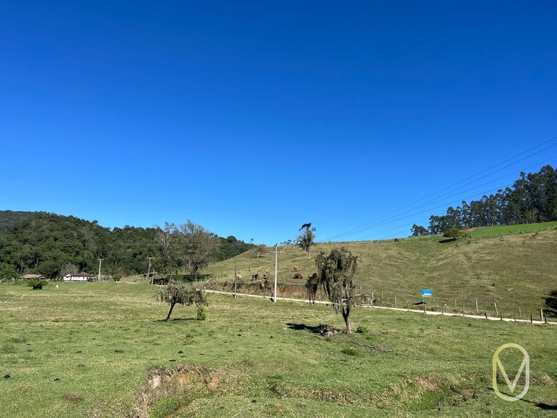 Terreno de 41 hectares á Venda em São Martinho-SC: 3ª foto da galeria de imagens do imóvel