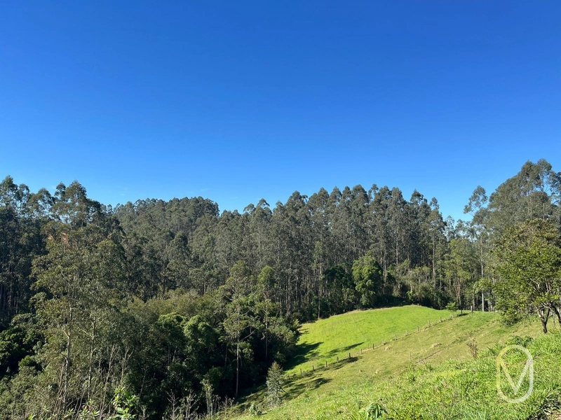 Terreno de 41 hectares á Venda em São Martinho-SC: 38ª foto da galeria de imagens do imóvel