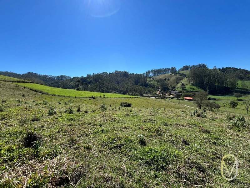 Terreno de 41 hectares á Venda em São Martinho-SC: 29ª foto da galeria de imagens do imóvel