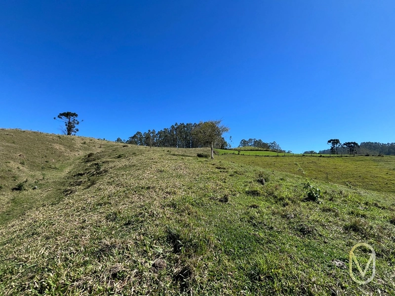 Terreno de 41 hectares á Venda em São Martinho-SC: 36ª foto da galeria de imagens do imóvel