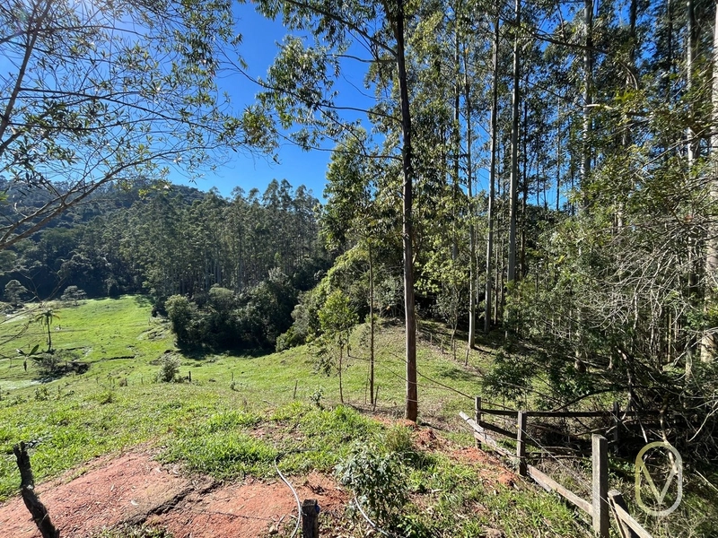 Terreno de 41 hectares á Venda em São Martinho-SC: 42ª foto da galeria de imagens do imóvel